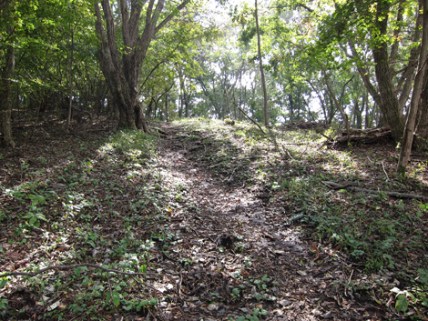 20191031hike (128)
